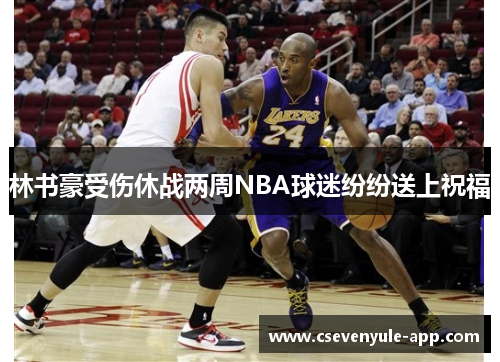 林书豪受伤休战两周NBA球迷纷纷送上祝福