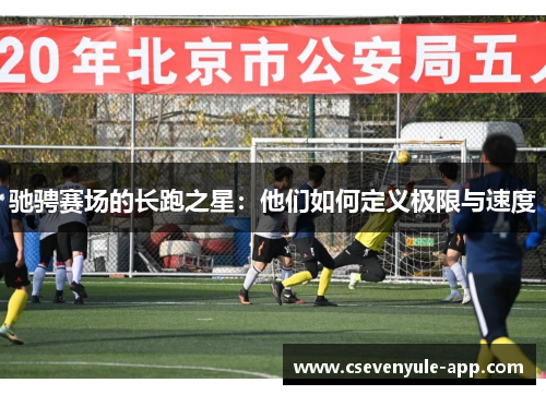 驰骋赛场的长跑之星：他们如何定义极限与速度