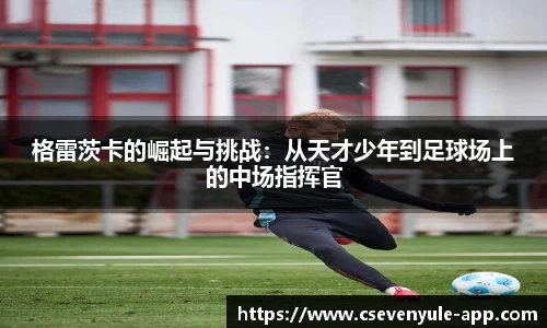 c7娱乐网址